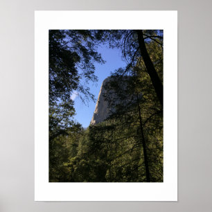 Treeview Yosemite Green Blue Color Fotografie Poster