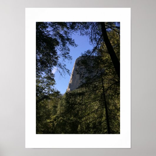 Treeview Yosemite Green Blue Color Fotografie Poster (Vorne)