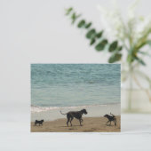 Treffen & Greet Postkarte (Stehend Vorderseite)