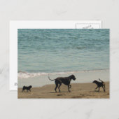 Treffen & Greet Postkarte (Vorne/Hinten)