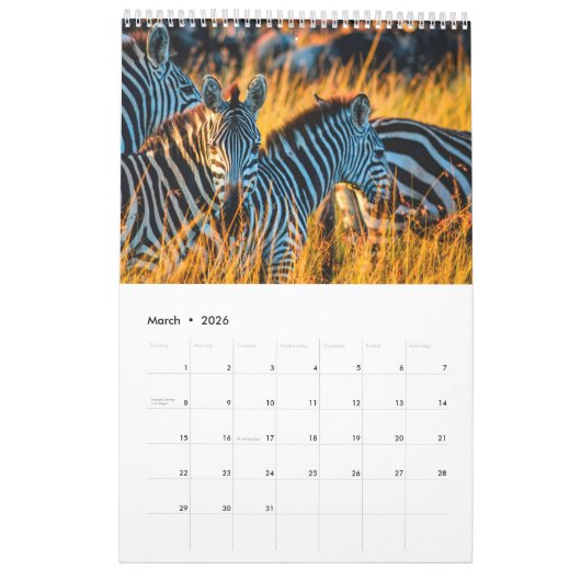 Treffen im wilden Königreich Afrikas, Kalender (Mär 2026)