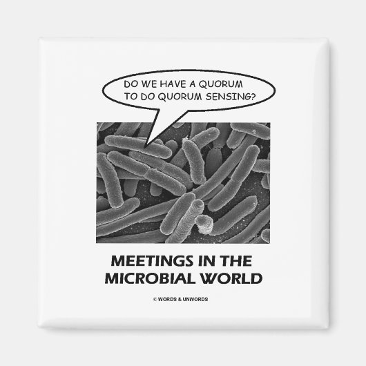 Treffen in der Mikrobenwelt (Quorum Sensing) Magnet (Vorne)