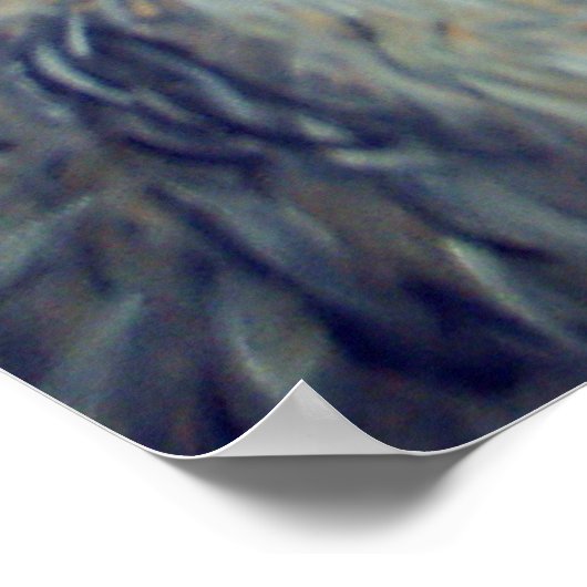 TREFFEN LLAMAS:LLAMA,ALPACA,VICUNA!! POSTER (Ecke)