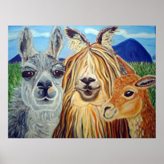 TREFFEN LLAMAS:LLAMA,ALPACA,VICUNA!! POSTER (Vorne)