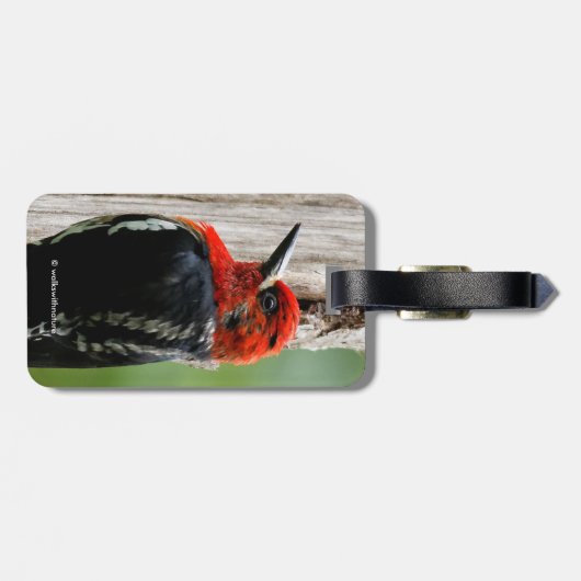 Treffen mit einem Rotschnabelschnäpper Gepäckanhänger (Rückseite horizontal)