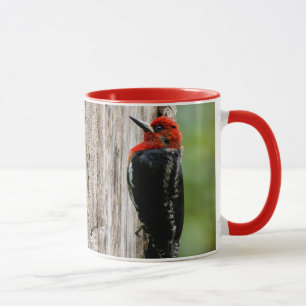 Treffen mit einem Rotschnabelschnäpper Tasse
