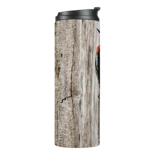 Treffen mit einem Rotschnabelschnäpper Thermosbecher (Nach links gedreht)