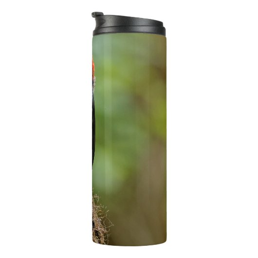 Treffen mit einem Rotschnabelschnäpper Thermosbecher (Nach rechts gedreht)