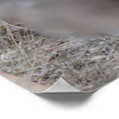 Treffen Sie das neue Baby Poster (Ecke)