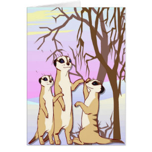 Treffen Sie die meerkats, Familie im Schnee
