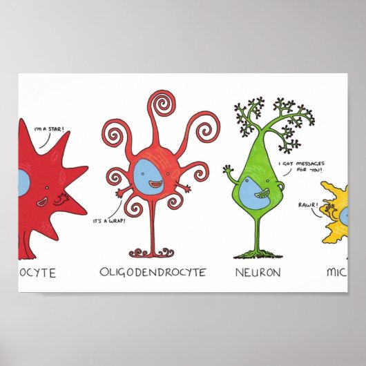 Treffen Sie Ihre Gehirnzellen WIDE Poster (Vorne)