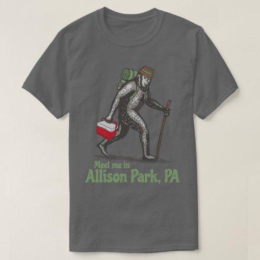 Treffen Sie mich im Allison Park Pennsylvania PA B T-Shirt (Design vorne)