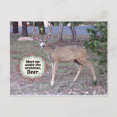 Treffen Sie mich unter dem Mistletoe Postkarte (Vorderseite)