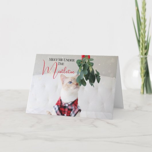 Treffen Sie mich unter der Niedlichen Weihnachtsfe Karte (Vorderseite)