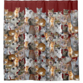 Treffpunkt für Katzen - niedlich Duschvorhang (Vorderseite)