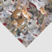 Treffpunkt für Katzen - niedlich Seidenpapier (Detail)