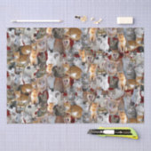 Treffpunkt für Katzen - niedlich Seidenpapier (Handwerk)