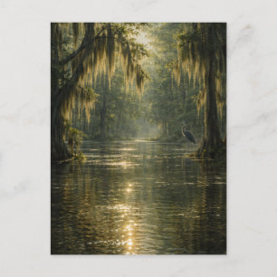 Treibender Morgen   Zypressensumpf   Postkarte