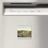 Treiber g von Dreikaiserfalsen, Schwarzwald, Bade Magnet (In Situ (Geschirrspüler))