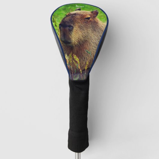 Treiberabdeckung für Animal Capybara Golf Headcover (Vorderseite)