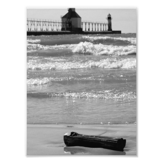 Treibholz 2 fotodruck (Vorne)