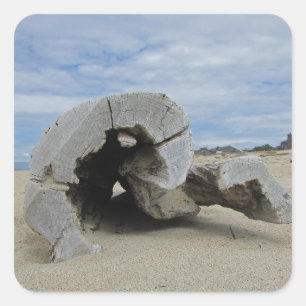 Treibholz am kalifornischen Strand Pazifikküste Oz Quadratischer Aufkleber