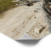 Treibholz am Strand Poster (Ecke)