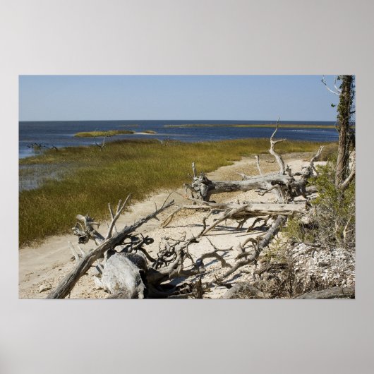 Treibholz am Strand Poster (Vorne)