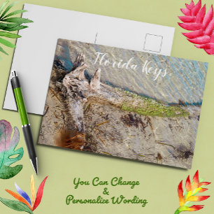 Treibholz am Strand von Florida Keys Postkarte