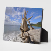 Treibholz an der Küste des französischen Strandes Fotoplatte (Seite)