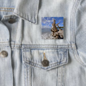 Treibholz auf der Küstenlinie des französischen Button (Beispiel)