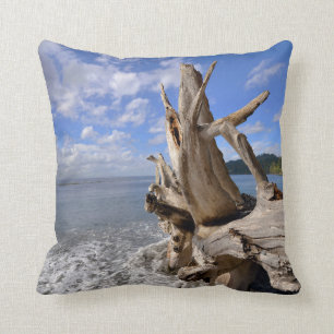 Treibholz auf der Küstenlinie des französischen Kissen