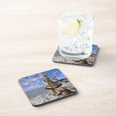 Treibholz auf der Küstenlinie des französischen Untersetzer (Rechte Seite)