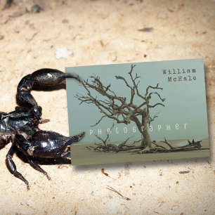 Treibholz aus totem Baum Modern Doppelseitig Visitenkarte