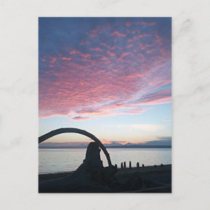 Treibholz-Bogen-Sonnenuntergang Postkarte