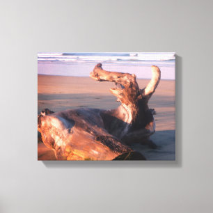 Treibholz Costa Rica Strand Foto Leinwanddruck