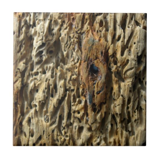 Treibholz Fliese (Vorderseite)