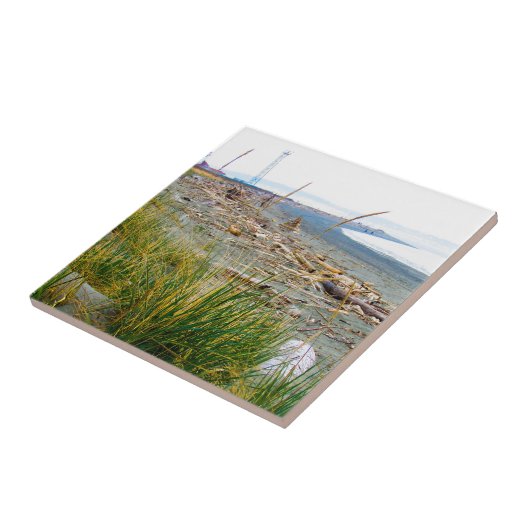 Treibholz Fliese (Seite)