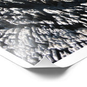 Treibholz Fotodruck (Ecke)