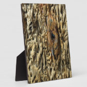 Treibholz Fotoplatte (Seite)