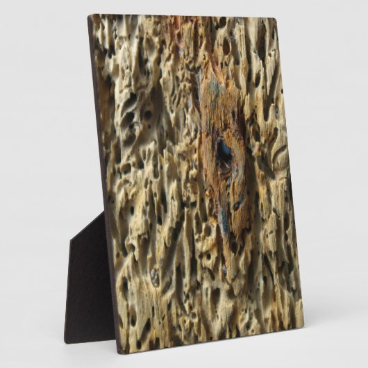 Treibholz Fotoplatte (Seite)