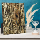 Treibholz Fotoplatte (Seite)