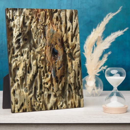 Treibholz Fotoplatte (Seite)