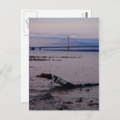 Treibholz im Lake Michigan Postkarte (Vorne/Hinten)