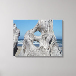 Treibholz Leinwand Fotodrucke Küste