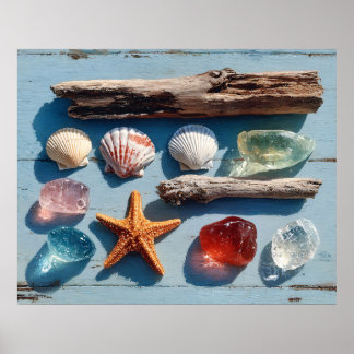 Treibholz Muscheln Seesterne und Meeresglas Poster