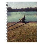 Treibholz Notizblock (Vorderseite)