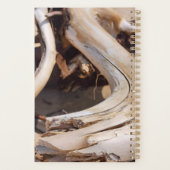 Treibholz Planer - Originale Fotografie (Rückseite)