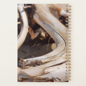 Treibholz Planer - Originalfotografie (Rückseite)