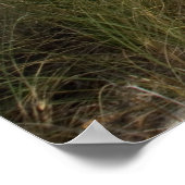 Treibholz Poster (Ecke)